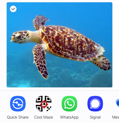 Share options on Android