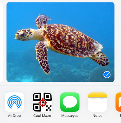 Share options on iOS